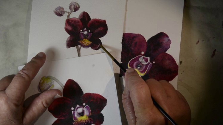 Watercolor Paper Comparison #2 - Paper Makes a Difference When Painting Orchids