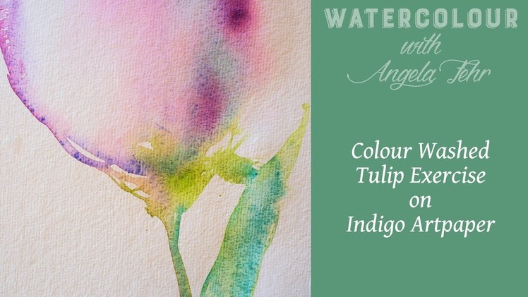 Colour Washed Tulip Exercise on Indigo Artpaper Watercolor paper