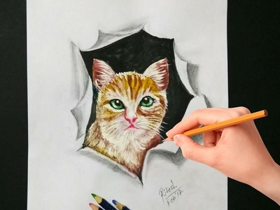 Cool 3d illusion art | Drawing 3D cat on paper | 3D Drawing tutorial for kids