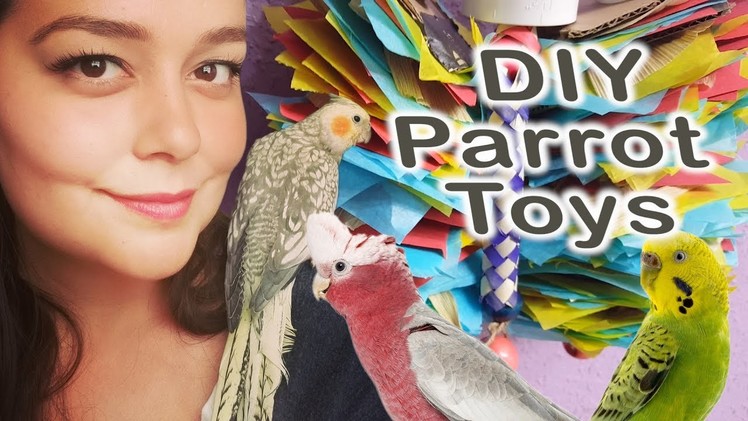 DIY Parrot Toys