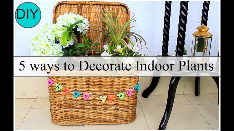How to decorate Indoor Pots at home(Part2). DIY for Home Decor