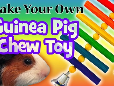 Make Your Own Guinea Pig Chew Toy - DIY
