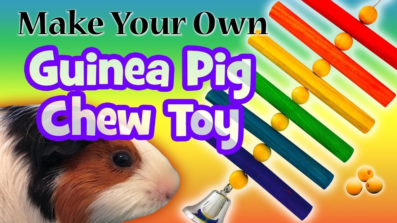 Make Your Own Guinea Pig Chew Toy - DIY