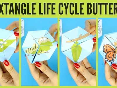 Butterfly Life Cycle Paper Toy Template - flextangle printable