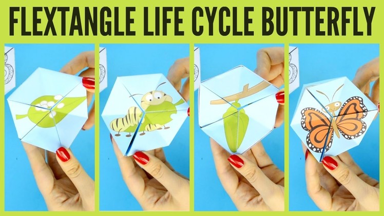 Butterfly Life Cycle Paper Toy Template - flextangle printable