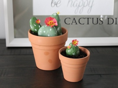 Cactus DIY