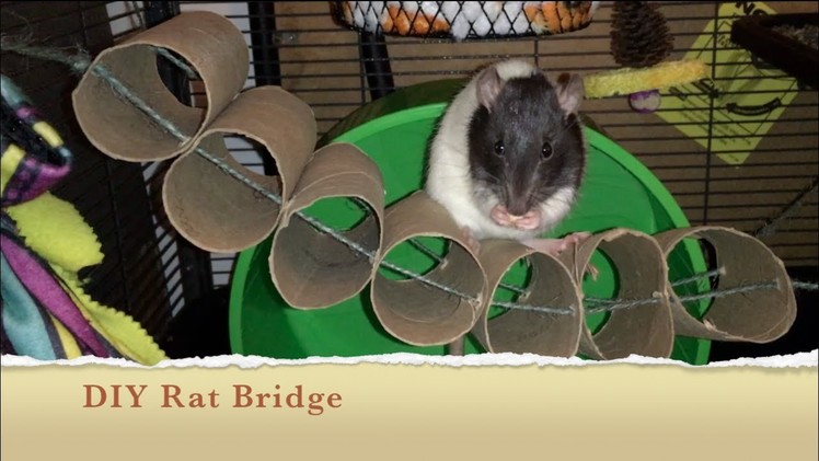 How To Make A DIY Bridge For Your Rat Cage