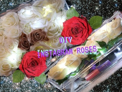 ♡DIY INSTAGRAM ROSES! ♡Venus et fleur inspired!♡