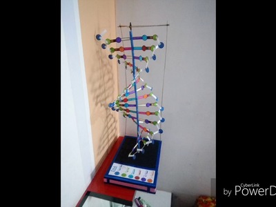 Dna Model with chart paper and wooden sticks