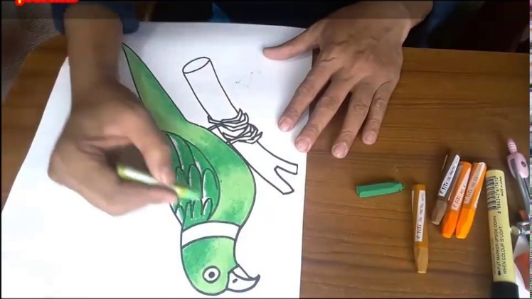 Art & Craft: How to Draw A Parot with Colour. টিয়া পাখি অংকন