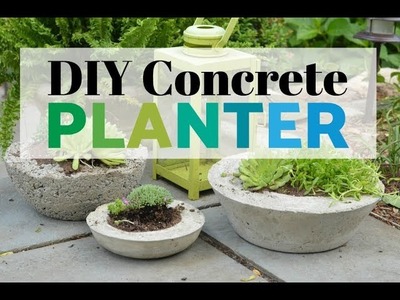 DIY Concrete Planters