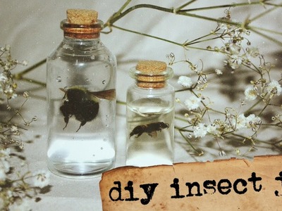 Diy insect jar || how to preserve insects in hand sanitizer