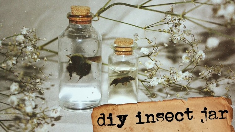 Diy insect jar || how to preserve insects in hand sanitizer