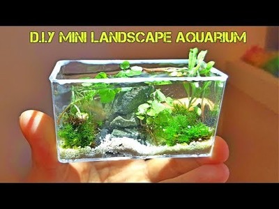 DIY Miniature Aquarium Fish Tank (Live Landscape Aquarium)