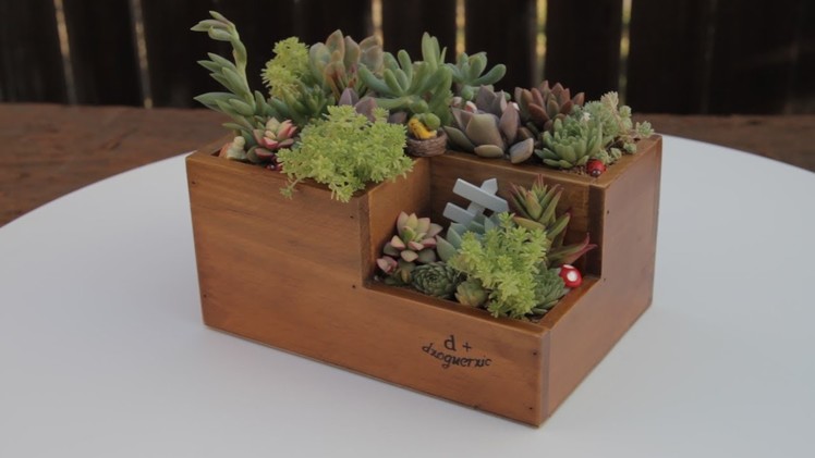 DIY Succulent Container Using Desk Organizer With Miniatures