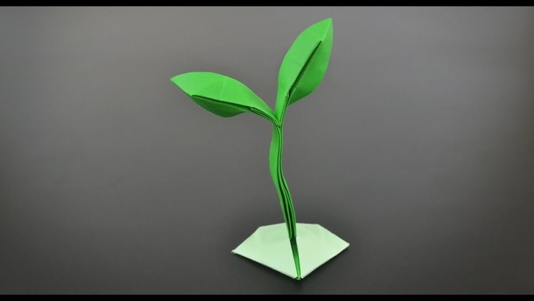Origami Sprout. Little Plant - Instructions in English (BR)