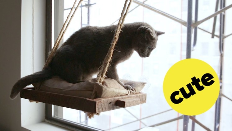 DIY Cat Window Perch