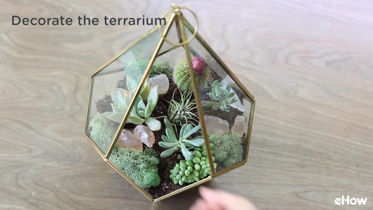 Easy to Make a Terrarium with Succulent Plants Tutorial