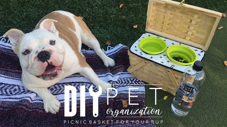 DIY Pet Organization & Storage | Picnic Basket