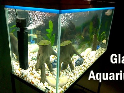Making Aquarium using Glass - DIY