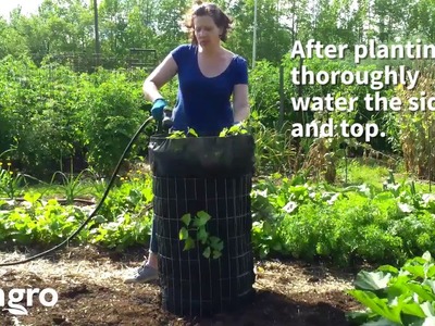 Raised Sweet Potato Garden Tower DIY