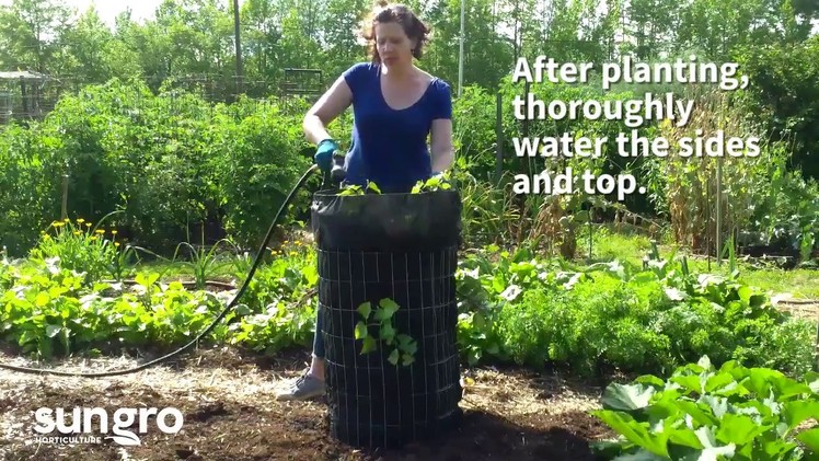 Raised Sweet Potato Garden Tower DIY