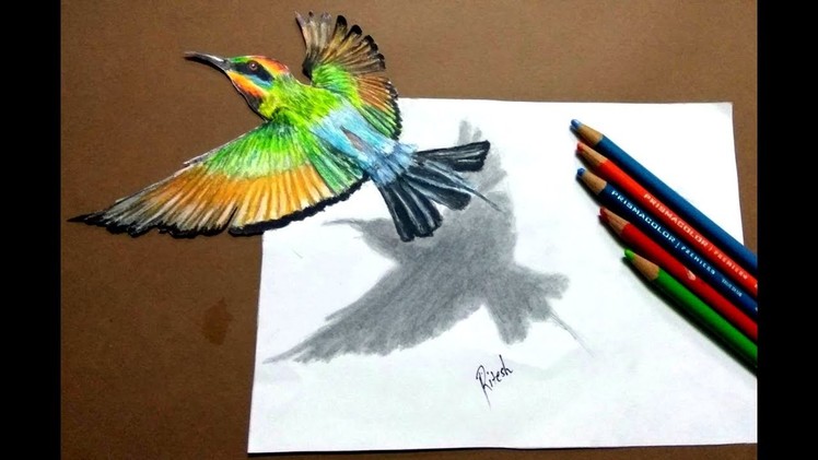 Cool 3D illusion art Tutorial | Drawing Flying Kingfisher - Slow speed | How to draw 3D kingfisher
