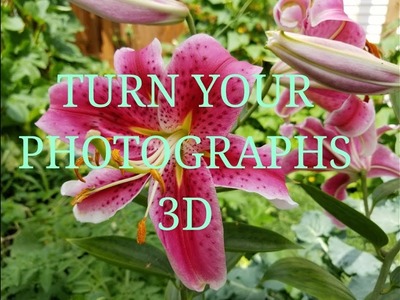 PAPERTOLE - How to make 3D Photographs