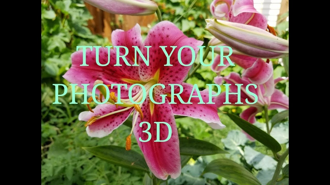 PAPERTOLE - How to make 3D Photographs