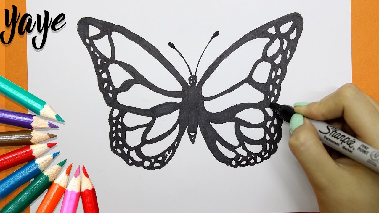 Como Dibujar Una Mariposa How To Draw A Butterfly