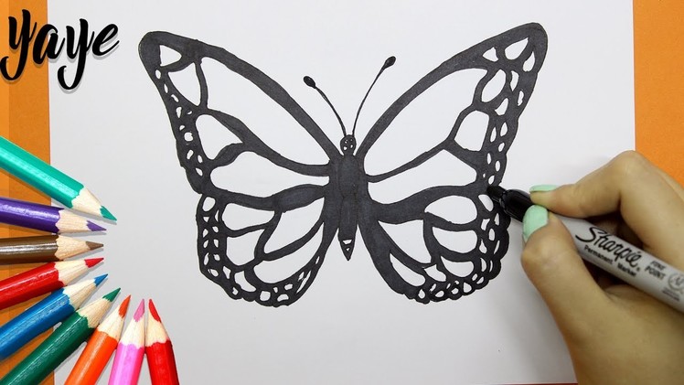 Como Dibujar una mariposa - How to draw a butterfly