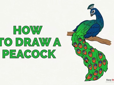 How to Draw a Peacock in a Few Easy Steps: Drawing Tutorial for Kids and Beginners