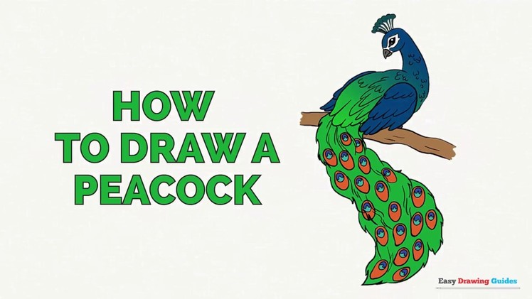How to Draw a Peacock in a Few Easy Steps: Drawing Tutorial for Kids and Beginners