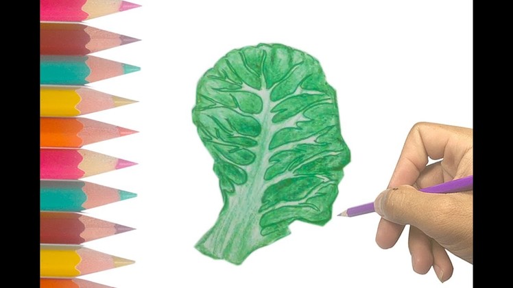 How to draw Kale | Easy Step by Step Vegetable Drawing for kids | HD 1080
