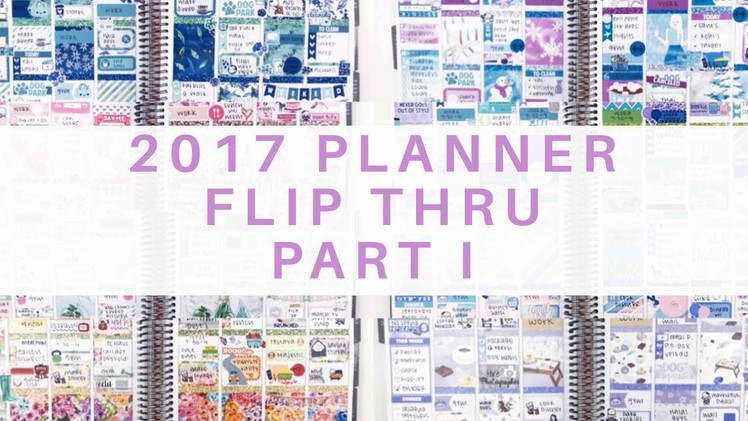 2017 Planner Flip Thru | Erin Condren Vertical