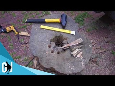 #498: Hollowing the Stump - Part 1: DIY Wednesday