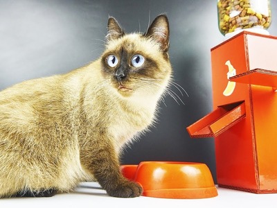 DIY Cat Food Dispenser from Cardboard at Home