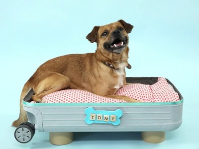 DIY - Dog & cat bed, by SPCA Israel & Crafty Studio