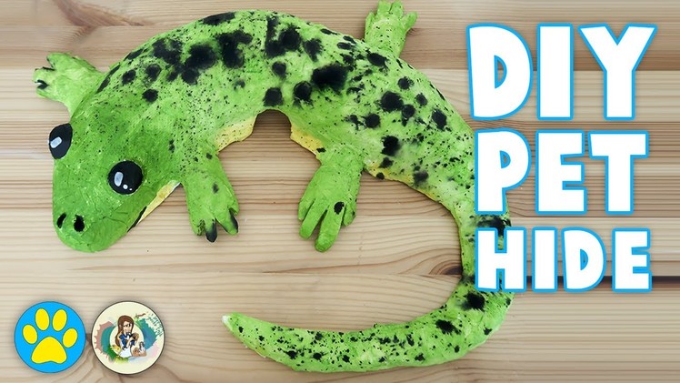 DIY Lizard Shaped Hamster House | Collab With Leopard Gecko!