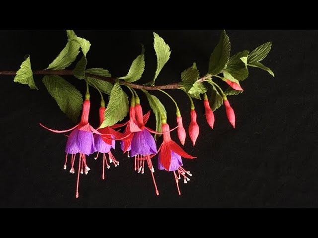 ABC TV | How To Make Fuchsia Paper Flower From Crepe Paper - Craft Tutorial