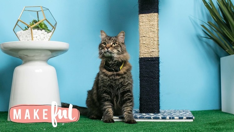 Chic DIY Cat Scratching Post | Pet Projects
