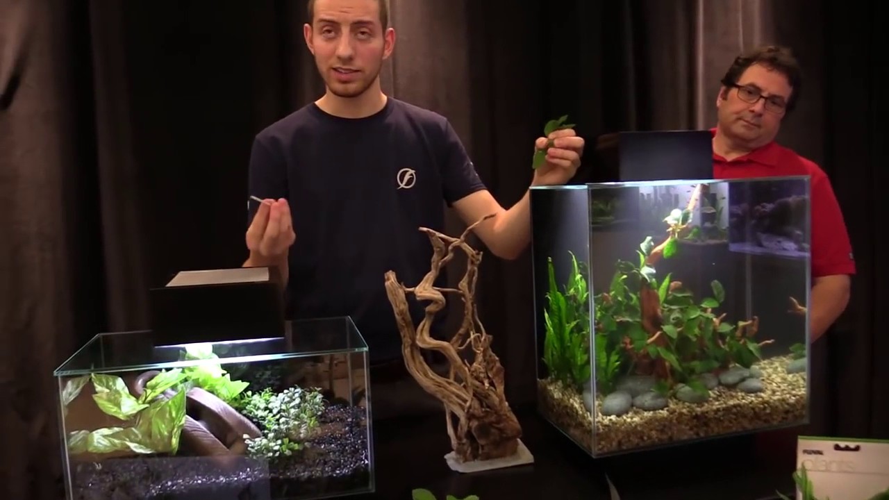 Diy Aquarium Decoration Ideas