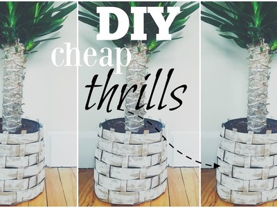 DIY Planter Basket | Cheap Thrills