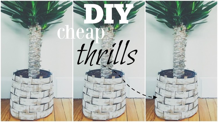 DIY Planter Basket | Cheap Thrills