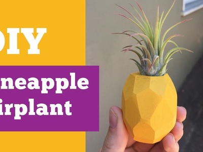 How to Make a Pineapple Magnet with Air Plants | Air Plant DIY | DIY with Caitlin
