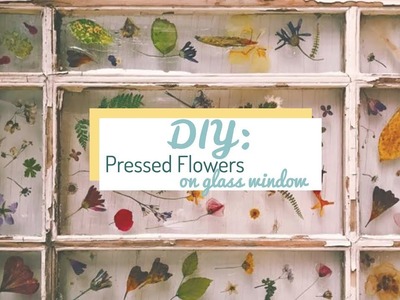 DIY Home: How to Tutorial, Pressed Flowers on Glass Surface