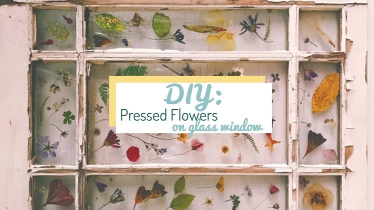 DIY Home: How to Tutorial, Pressed Flowers on Glass Surface