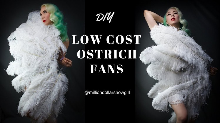 DIY Low cost  ostrich fan tutorial