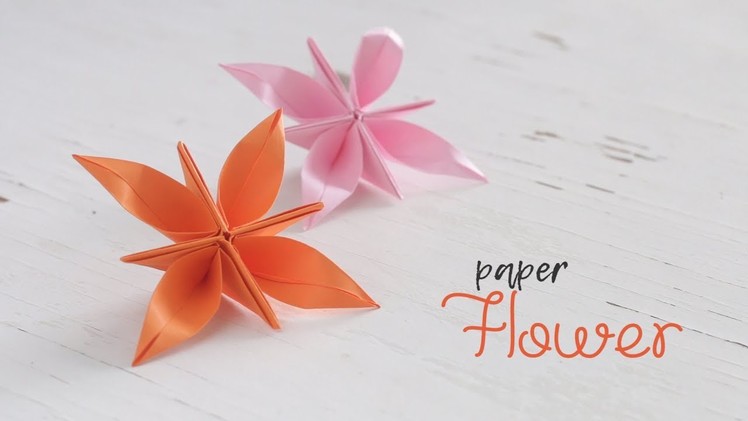 DIY Paper Flower (4 Petal)