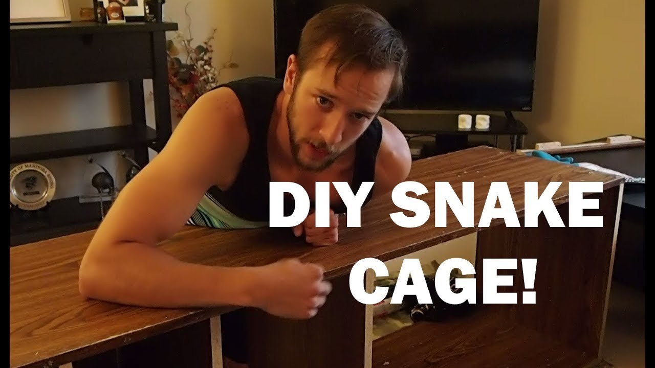 DIY Snake Cage: Part 1